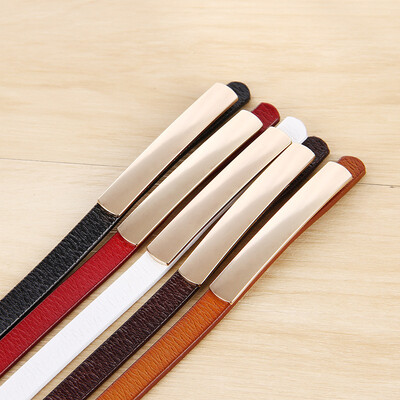 Leather fashion womens dress small belt leather Korean version of the wild leather belt thin dress black decorative wai
Leather fashion womens dress small belt leather Korean version of the wild leather belt thin dress black decorative wai
