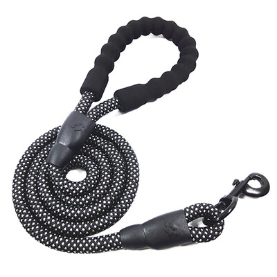 Pet Dog Durable Nylon Leashes for Small Medium Big Dog Striped Color Leash Soft Handle&Buckle Puppy Outdoor Walking Product
Pet Dog Durable Nylon Leashes for Small Medium Big Dog Striped Color Leash Soft Handle&Buckle Puppy Outdoor Walking Product