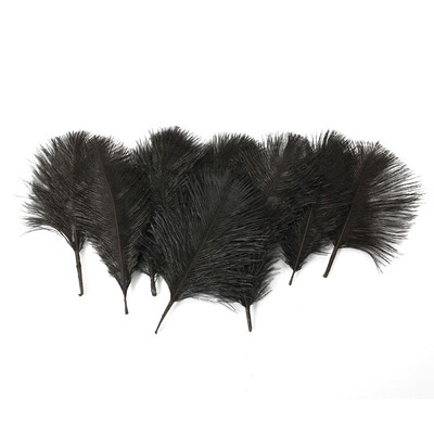 10 Pcs Wholesale 30-35CM12-14Inch Quality Natural Ostrich Feathers White Home Decor
10 Pcs Wholesale 30-35CM12-14Inch Quality Natural Ostrich Feathers White Home Decor