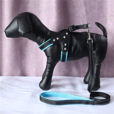 Reflective Nylon Rhinestone Dog Harnesses Step in Soft Mesh Padded Small Dog Puppy Harness Leash Set
Reflective Nylon Rhinestone Dog Harnesses Step in Soft Mesh Padded Small Dog Puppy Harness Leash Set
