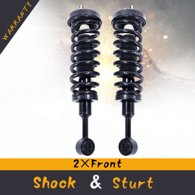 Ktaxon Set of 2 Front Both Side Complete Ready Strut Assembly For LINCOLN MARK LT 06-08
Ktaxon Set of 2 Front Both Side Complete Ready Strut Assembly For LINCOLN MARK LT 06-08