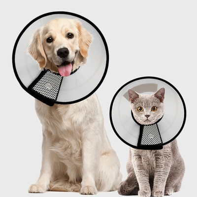 Chinese animal Elizabeth bed dog cat collar collar cat anti-circle ring cat pet dog head cover hood anti-biting dog supplies 7th 6 kg
Chinese animal Elizabeth bed dog cat collar collar cat anti-circle ring cat pet dog head cover hood anti-biting dog supplies 7th 6 kg