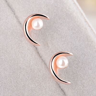 Modern Superb Earrings 1 Pair Imitation Pearl Ear Studs Sweet Eardrop Jewelry Accessories
Modern Superb Earrings 1 Pair Imitation Pearl Ear Studs Sweet Eardrop Jewelry Accessories