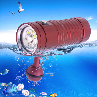 Saidsome Professional Underwater Photography Video Light Diving Flashlight Waterp flashlight lamp
Saidsome Professional Underwater Photography Video Light Diving Flashlight Waterp flashlight lamp