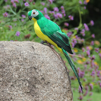 Gobestart Colorful Fake Parrots Artificial Birds Model Outdoor Home Garden Lawn Tree Decor
Gobestart Colorful Fake Parrots Artificial Birds Model Outdoor Home Garden Lawn Tree Decor