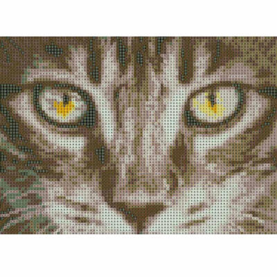 5D Diamond Painting DIY Semi-finished Animals Theme Lion Tiger Cat Pink Pink Black&White Home Decor Office Bedroom Living Ro
5D Diamond Painting DIY Semi-finished Animals Theme Lion Tiger Cat Pink Pink Black&White Home Decor Office Bedroom Living Ro
