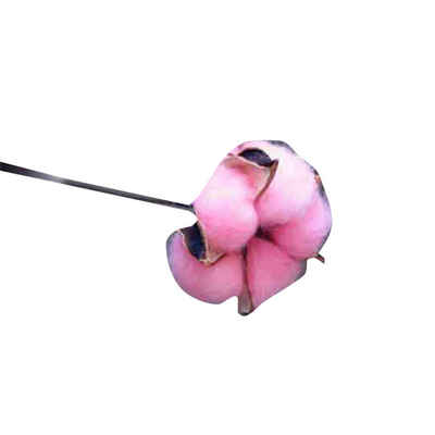 Colorful Cotton Flower Rustic Artificial Single Tree Branch Cotton Stems Wedding Home Decorations
Colorful Cotton Flower Rustic Artificial Single Tree Branch Cotton Stems Wedding Home Decorations