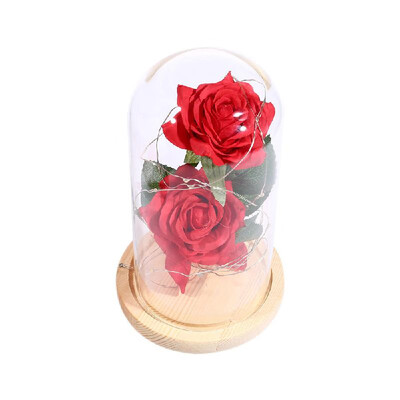 Stimulation 2Pcs Rose Flowers LED String Light with Glass Cover Party Wedding Decor Birthday Anniversary Gift
Stimulation 2Pcs Rose Flowers LED String Light with Glass Cover Party Wedding Decor Birthday Anniversary Gift