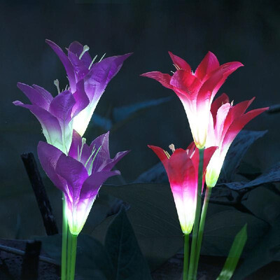 2 Pack Outdoor Solar Powered LED Lights Lily Flower IP55 Waterproof Auto-on at Night for Patio Garden Backyard Flowerbed Fence Wal
2 Pack Outdoor Solar Powered LED Lights Lily Flower IP55 Waterproof Auto-on at Night for Patio Garden Backyard Flowerbed Fence Wal