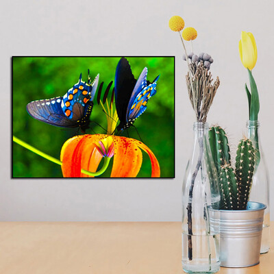 Gobestart 5D Embroidery Paintings Rhinestone Pasted DIY Diamond Painting Cross Stitch
Gobestart 5D Embroidery Paintings Rhinestone Pasted DIY Diamond Painting Cross Stitch