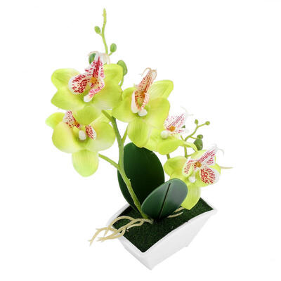 Greensen Artificial Flower Simulation Butterfly Orchid Decorative Plants Pot for Home Decor
Greensen Artificial Flower Simulation Butterfly Orchid Decorative Plants Pot for Home Decor