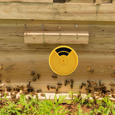 Greensen 10Pcs Plastic Beehives Doors Bee Nest Round Entrance Disc Beekeeping Equipment Tools Beekeeping Tools Bee Nest Door
Greensen 10Pcs Plastic Beehives Doors Bee Nest Round Entrance Disc Beekeeping Equipment Tools Beekeeping Tools Bee Nest Door