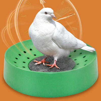 Greensen 5Pcs Plastic Bird Nesting Bowl Bird Egg Breeding Bowl with Mat Cage Accessory
Greensen 5Pcs Plastic Bird Nesting Bowl Bird Egg Breeding Bowl with Mat Cage Accessory