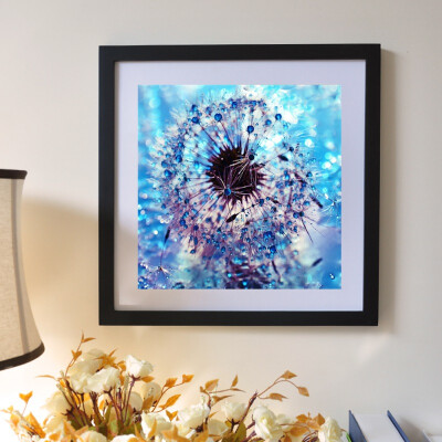 Pictures By Numbers 5D DIY Diamond Paintings Kits Partial Diamond Covered Flower Dandelion Theme Paintings By Numbers On Canvas
Pictures By Numbers 5D DIY Diamond Paintings Kits Partial Diamond Covered Flower Dandelion Theme Paintings By Numbers On Canvas
