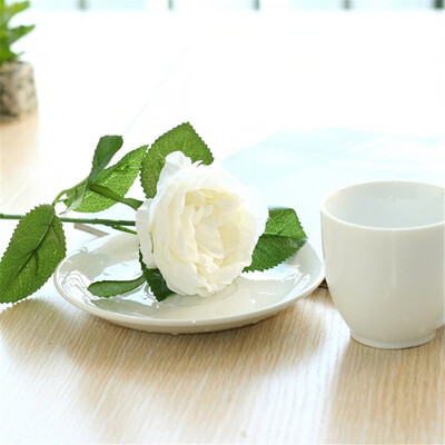 〖Follure〗Night Rose Simulation Flower Fake Flower Home Wedding Decoration Flower Wall
〖Follure〗Night Rose Simulation Flower Fake Flower Home Wedding Decoration Flower Wall