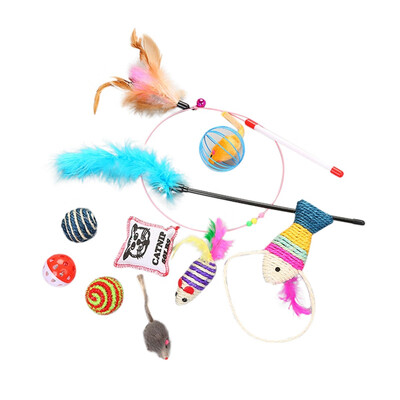 10 Pcs Cats Funny Tease Toys Set Variety Pack Including Catnip Pack Ball Mice Kitten Interactive Exercise Scratch Pet Toy