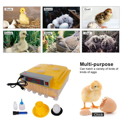 Ktaxon 48 Eggs Automatic Incubator Hatching Poultry Temperature Control with Peep Hole
Ktaxon 48 Eggs Automatic Incubator Hatching Poultry Temperature Control with Peep Hole