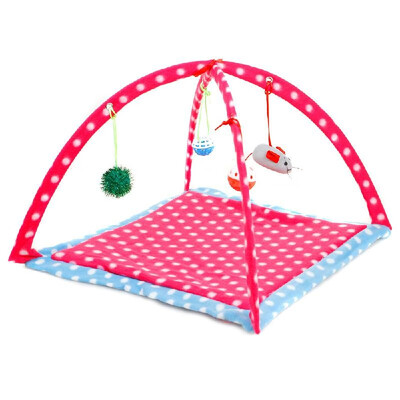Cat Play Mat Cat Tent Activity Center with Hanging Toys Pad for Dogs Puppy Cats Indoor Outdoor Foldable
Cat Play Mat Cat Tent Activity Center with Hanging Toys Pad for Dogs Puppy Cats Indoor Outdoor Foldable