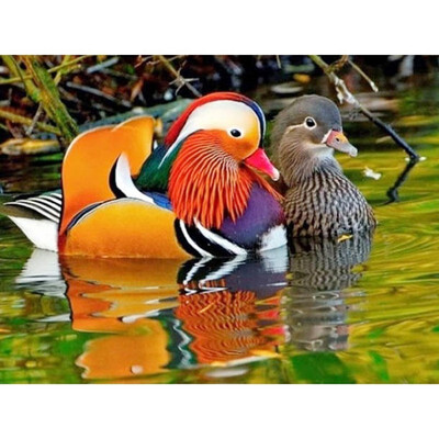 Diamond Embroidery Mandarin Duck Full Drill Mosaic Decoration Home Wall Sticker 5D Diamond Painting Animals
Diamond Embroidery Mandarin Duck Full Drill Mosaic Decoration Home Wall Sticker 5D Diamond Painting Animals