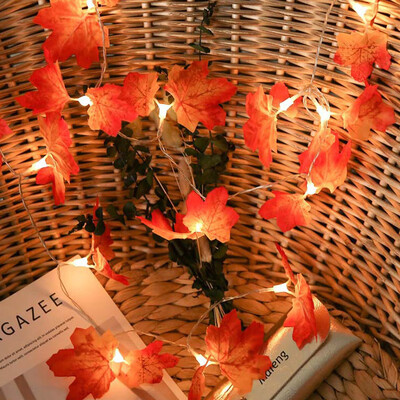 〖Follure〗6M 40LED Lighted Fall Autumn Pumpkin Maple Leaves Garland Thanksgiving Decor
〖Follure〗6M 40LED Lighted Fall Autumn Pumpkin Maple Leaves Garland Thanksgiving Decor