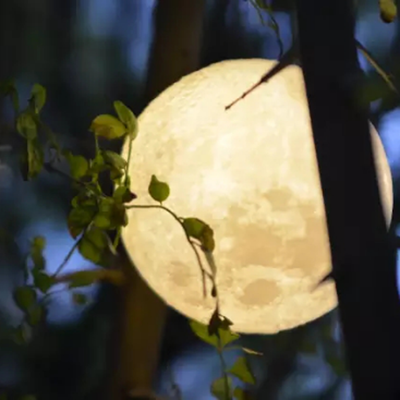 Gobestart 3D USB LED Magical Moon Night Light Moonlight Table Desk Moon Lamp Gift 13cm
Gobestart 3D USB LED Magical Moon Night Light Moonlight Table Desk Moon Lamp Gift 13cm