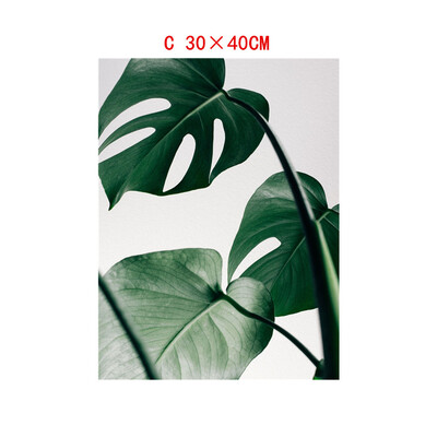 Gobestart Leaf Plant Leaf Tortoise Decorative Canvas Painting Childrens Room Hanging Painting Spray Painting
Gobestart Leaf Plant Leaf Tortoise Decorative Canvas Painting Childrens Room Hanging Painting Spray Painting