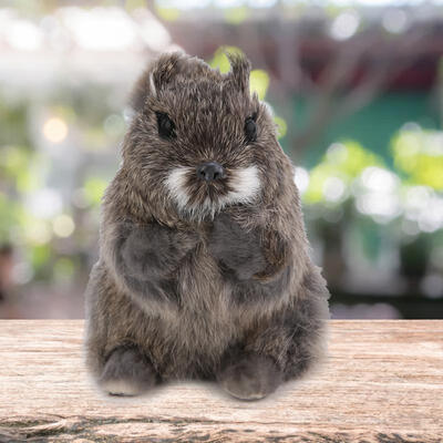 Greensen Simulation Polyethylene Squirrel - shape Statue Animals Sculpture Garden Yard Decoration
Greensen Simulation Polyethylene Squirrel - shape Statue Animals Sculpture Garden Yard Decoration
