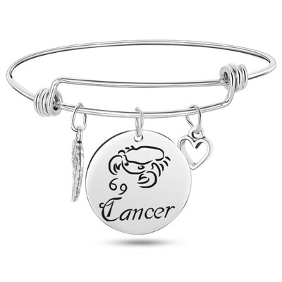 12 Constellation Wire Stainless Steel Bracelet Birthstone Bangle Bracelets Charm Bracelet
12 Constellation Wire Stainless Steel Bracelet Birthstone Bangle Bracelets Charm Bracelet