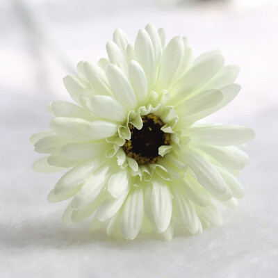 1Pcs fake artificial flowers African chrysanthemum flowers wedding flower silk flower Home Decoration Accessories flores
1Pcs fake artificial flowers African chrysanthemum flowers wedding flower silk flower Home Decoration Accessories flores