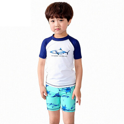Toddler Boys Summer Swimsuit Short Sleeve Cartoon Print Swimwear Beach Split Three-piece for 0-7Y
Toddler Boys Summer Swimsuit Short Sleeve Cartoon Print Swimwear Beach Split Three-piece for 0-7Y