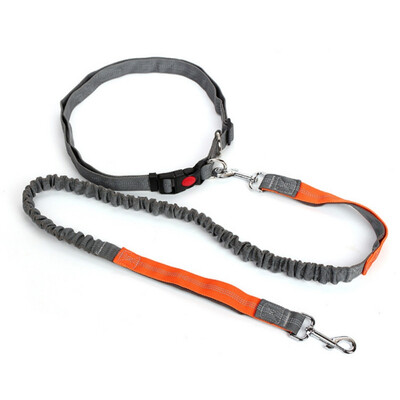 Pet Dog Running Leashes Hands Freely Great for Walking dog leash Rope with reflective Jogging dog collars leash CL109
Pet Dog Running Leashes Hands Freely Great for Walking dog leash Rope with reflective Jogging dog collars leash CL109