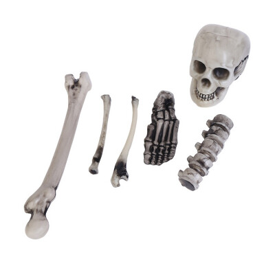6PCS Plastic Realistic Skeleton Bones Skull For Best Halloween Party Haunted House Decoration And Spookiest Graveyard Scene
6PCS Plastic Realistic Skeleton Bones Skull For Best Halloween Party Haunted House Decoration And Spookiest Graveyard Scene