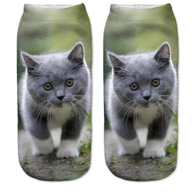 1Pair 3D Socks Funny Low Cut Ankle Socks Unisex Adult Elastic Sock Cute Animal Cat Print Socks 
1Pair 3D Socks Funny Low Cut Ankle Socks Unisex Adult Elastic Sock Cute Animal Cat Print Socks
