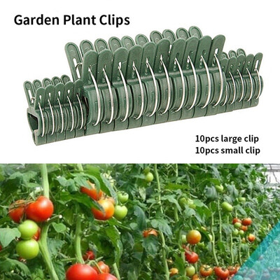 20PCS Garden Plant Clips Adjusting Support Plant Clip for Vine Garden Vegetables Tomatoes
20PCS Garden Plant Clips Adjusting Support Plant Clip for Vine Garden Vegetables Tomatoes