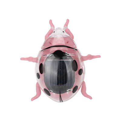 Tailored Solar Powered Shaking Random Ladybug Toy For Kids Solar Energy Educational Toy
Tailored Solar Powered Shaking Random Ladybug Toy For Kids Solar Energy Educational Toy