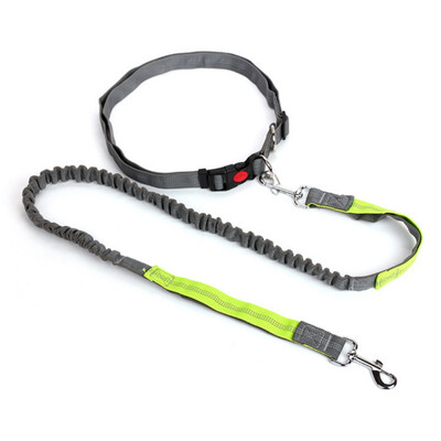 Pet Dog Running Leashes Hands Freely Great for Walking dog leash Rope with reflective Jogging dog collars leash CL109
Pet Dog Running Leashes Hands Freely Great for Walking dog leash Rope with reflective Jogging dog collars leash CL109