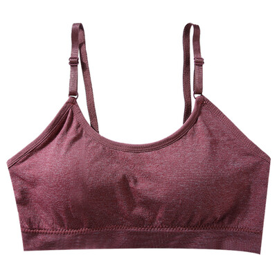 new ladies breathable seamless fitness solid color bra detachable chest pad Siamese sports color beauty back wrapped bra
new ladies breathable seamless fitness solid color bra detachable chest pad Siamese sports color beauty back wrapped bra