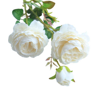 1 PCS Western Roses European Peony Artificial Flower Beautiful Rose Peony Small Bouquet Flowers Home Spring Party F
1 PCS Western Roses European Peony Artificial Flower Beautiful Rose Peony Small Bouquet Flowers Home Spring Party F