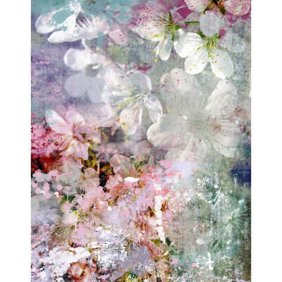 White butterfly Photo Backdrop 57FT Vinyl Fabric Cloth Digital Printing Photo Background s-2155
White butterfly Photo Backdrop 57FT Vinyl Fabric Cloth Digital Printing Photo Background s-2155