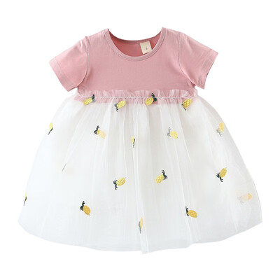 Princess Baby Girl Dress Party Birthday Dress Lace Floral Baptism Vestido Infantil Bow Tulle Wedding Dresses Newborn New
Princess Baby Girl Dress Party Birthday Dress Lace Floral Baptism Vestido Infantil Bow Tulle Wedding Dresses Newborn New