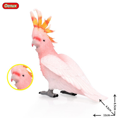 Oenux Original Paradise Birds Flamingos Ara Seagull Pelican Snowy Owl Figurines High Quality PVC Animal Action Figure Child Toy
Oenux Original Paradise Birds Flamingos Ara Seagull Pelican Snowy Owl Figurines High Quality PVC Animal Action Figure Child Toy