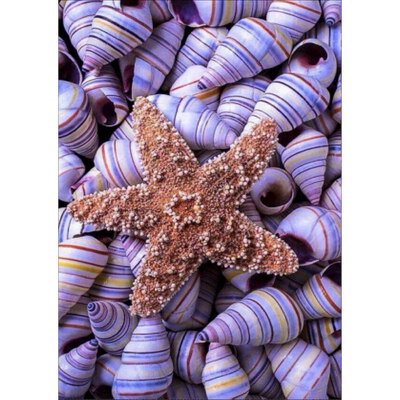 DIY Semi-finished Diamond Painting 5D Still Life Theme Starfish Hippocampus Conch Home Living Room Bedroom Office Decoration
DIY Semi-finished Diamond Painting 5D Still Life Theme Starfish Hippocampus Conch Home Living Room Bedroom Office Decoration