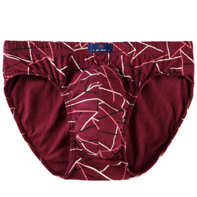 Sexy Men Underwear Men Briefs Cotton Underpants Briefs Men Striped Brief Bikini Breathable Under Wear
Sexy Men Underwear Men Briefs Cotton Underpants Briefs Men Striped Brief Bikini Breathable Under Wear