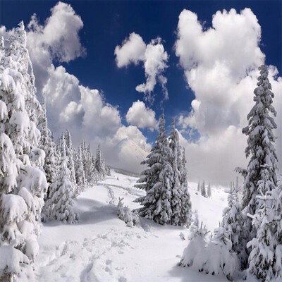 3D Wallpaper Winter Snow Landscape Photo Mural Hotel Living Room TV Sofa Backdrop Wall Mural Modern Nature Non-Woven Wallpaper
3D Wallpaper Winter Snow Landscape Photo Mural Hotel Living Room TV Sofa Backdrop Wall Mural Modern Nature Non-Woven Wallpaper