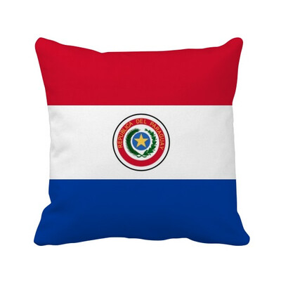 Paraguay National Flag South America Country Square Throw Pillow Insert Cushion Cover Home Sofa Decor Gift
Paraguay National Flag South America Country Square Throw Pillow Insert Cushion Cover Home Sofa Decor Gift