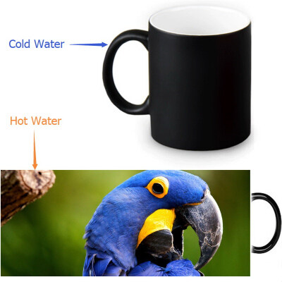 Parrot 350ml12oz Heat Reveal Mug Color Change Coffee Cup Sensitive Morphing Mugs Magic Mug Milk Tea Cups
Parrot 350ml12oz Heat Reveal Mug Color Change Coffee Cup Sensitive Morphing Mugs Magic Mug Milk Tea Cups
