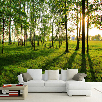 Modern Simple Green Forest Sunshine Photo Mural Wallpaper For Walls 3 D Living Room Bedroom Backdrop Wall Decor Papel De Parede
Modern Simple Green Forest Sunshine Photo Mural Wallpaper For Walls 3 D Living Room Bedroom Backdrop Wall Decor Papel De Parede