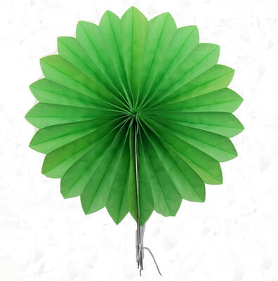 FANLUS Ecape Party Paper Fans Decoration Colored Tissue Paper Fans for Fiesta WeddingBirthday Carnibal Kids Hanging Decoraitons
FANLUS Ecape Party Paper Fans Decoration Colored Tissue Paper Fans for Fiesta WeddingBirthday Carnibal Kids Hanging Decoraitons