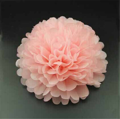 25cm Craft Paper Tissue Ceiling Decor Wall Decor Hanging Paper poms Flower Ball Wedding Party Outdoor Decoration Flower
25cm Craft Paper Tissue Ceiling Decor Wall Decor Hanging Paper poms Flower Ball Wedding Party Outdoor Decoration Flower