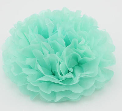 25cm Craft Paper Tissue Ceiling Decor Wall Decor Hanging Paper poms Flower Ball Wedding Party Outdoor Decoration Flower
25cm Craft Paper Tissue Ceiling Decor Wall Decor Hanging Paper poms Flower Ball Wedding Party Outdoor Decoration Flower